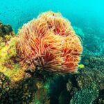 Full Day Phu Quoc Canoe and Cable Car Guided Tour - The Islands: A Closer Look