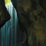 Full Day Private All-Inclusive Famous Waterfall Tour - Practical Details