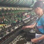 Full-Day Private Guided Dalat Countryside Tour - Why This Tour Offers Great Value