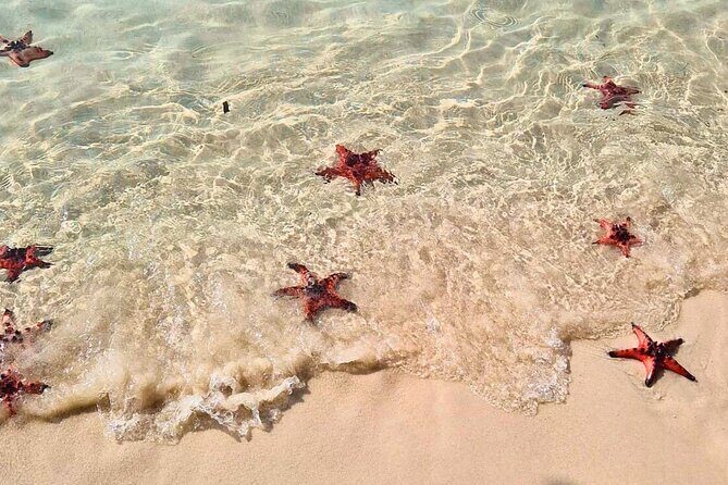 Full Day Private Journey to Northern Phu Quoc - Value and Considerations