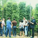 Full Day Private Land Tour South Phu Quoc Island - FAQ