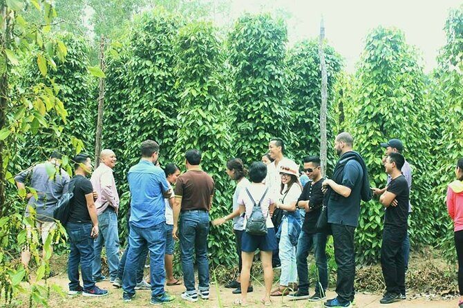 Full Day Private Land Tour South Phu Quoc Island - FAQ