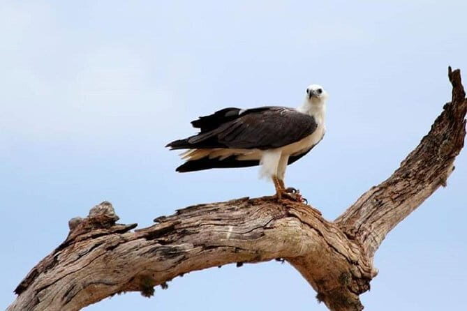 Full Day Private Safari at Yala National Park by La Safari Inn Tours - What We Love About This Tour