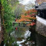 Full-Day Private Suzhou and Tongli Tour by Bullet Train - The Itinerary in Detail