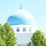 Full-Day Private Tashkent Tour with lunch and Pro Photography - Authentic Insights from Past Travelers