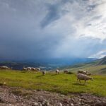 Full Day Private Tour in Assy Plateau - An In-Depth Look at the Assy Plateau Private Tour