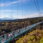 Full Day Private Tour in Hakone - Key Points