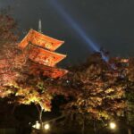 Full Day Private Tour in Kyoto with Private Transportation - What Sets This Tour Apart?