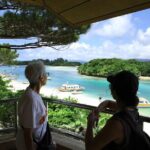 Full Day Private Tour of Ishigaki Island - Practical Details: What to Expect and Why It Matters