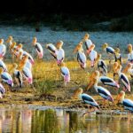 Full-Day Private Tour of Sigiriya and Minneriya National Park - Practical Details and Travel Comfort