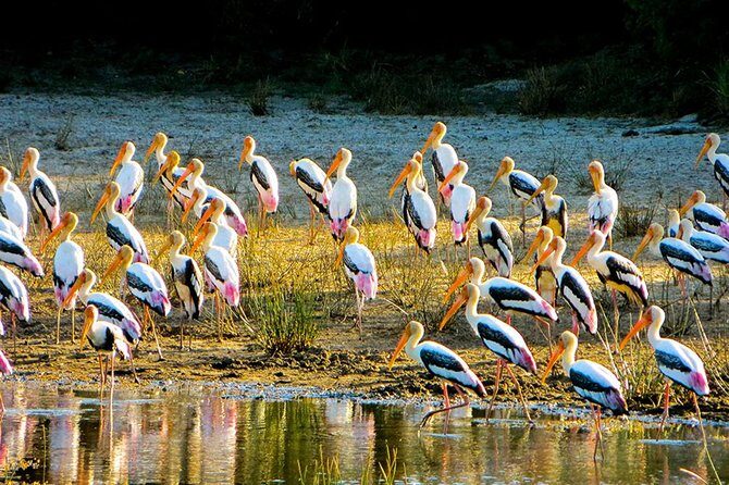 Full-Day Private Tour of Sigiriya and Minneriya National Park - Practical Details and Travel Comfort