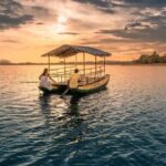 Full Day Private Tour to the Vedda Aboriginal Village - Final Thoughts: Is This Tour Right for You?