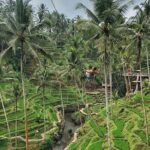 Full Day Private Ubud Tour - All Inclusive - Final Thoughts