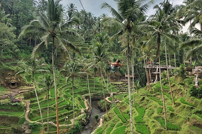 Full Day Private Ubud Tour - All Inclusive - Final Thoughts