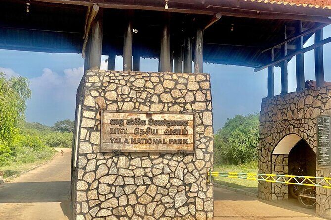 Full Day Private Yala Safari Trip with Lunch - Final Thoughts
