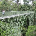Full Day Sepilok Orangutan and Rainforest Discovery Centre Tour - Practical Details and Logistics