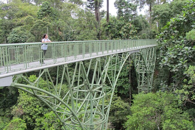 Full Day Sepilok Orangutan and Rainforest Discovery Centre Tour - Practical Details and Logistics