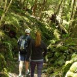 Full Day Small Group Routeburn Valley Hike - Who’s This Tour Best Suited For?
