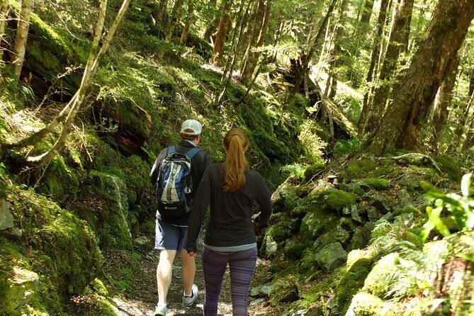 Full Day Small Group Routeburn Valley Hike - Who’s This Tour Best Suited For?