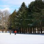 Full Day Strawberry Picking and Rail Bike in Nami Island - Practical Tips for Making the Most of the Tour