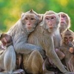 Full Day Surface of Ubud Private Tour - The Practicalities: What to Expect