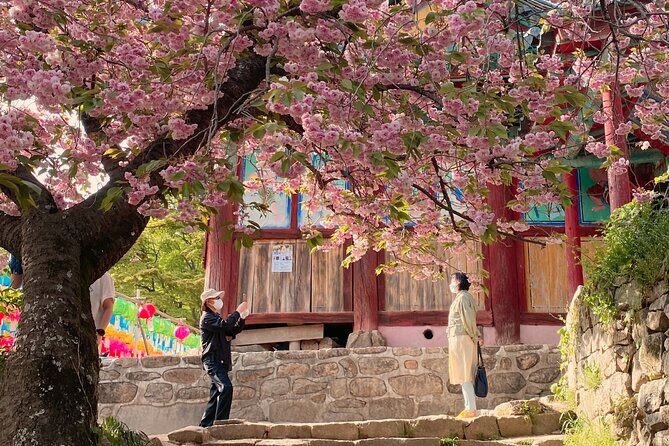 Full Day Suwon Hwaseong and Yellow Spring Flower Festival Tour - A Deep Dive into the Tour Experience