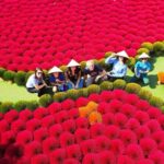 Full-day Tour from Hanoi to Incense Village & Tam Coc, Ninh Binh - The Practicalities: What to Expect