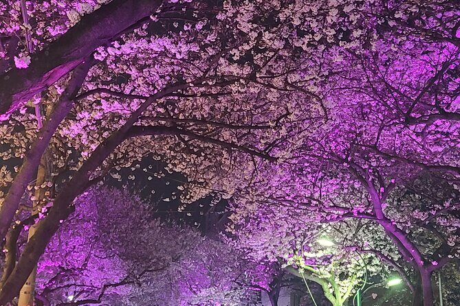 Full Day Tour In Jeju Island - East of Jeju (included admission) - The Practical Side: Transportation, Value, and Flexibility