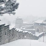 Full Day Tour of Suwon Hwaseong and Deogyusan - Discovering Deogyusan National Park