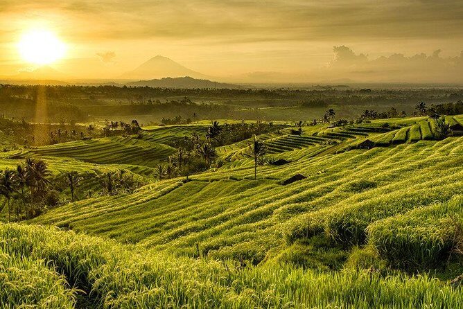 Full Day Tour of Tabanan - Authentic Experiences and Reviewer Insights