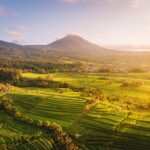 Full Day Tour Tanah Lot, Jatiluwih, Danau Beratan - A Closer Look at the Tour Itinerary