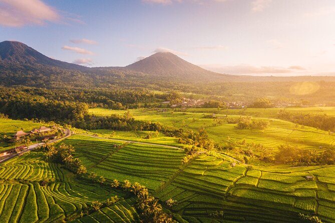 Full Day Tour Tanah Lot, Jatiluwih, Danau Beratan - A Closer Look at the Tour Itinerary