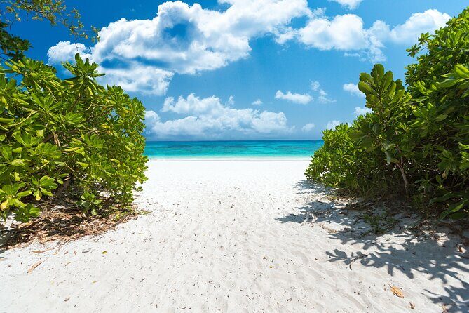 Full-day Tour to the Similan Islands by Speedboat from Khao Lak - The Speedboat Experience: Pros and Cons