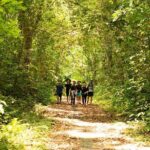 Full Day Trekking Cat Ba National Park, Viet Hai Village, biking - Detailed Breakdown of the Itinerary