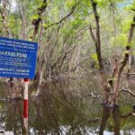 Full-Day Trekking: Explore Cat Ba National Park, Viet Hai Village - Visiting Viet Hai Village