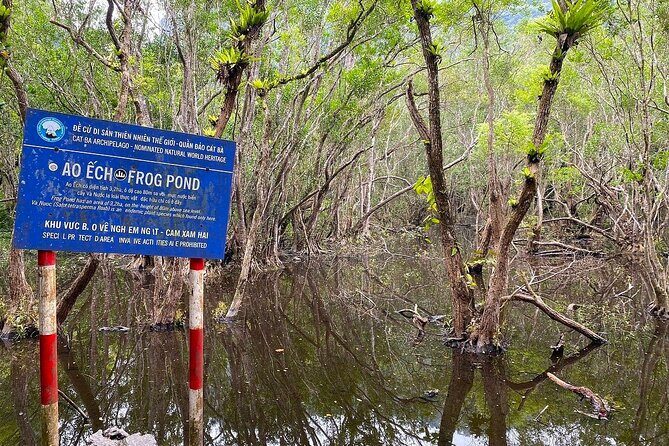 Full-Day Trekking: Explore Cat Ba National Park, Viet Hai Village - Visiting Viet Hai Village