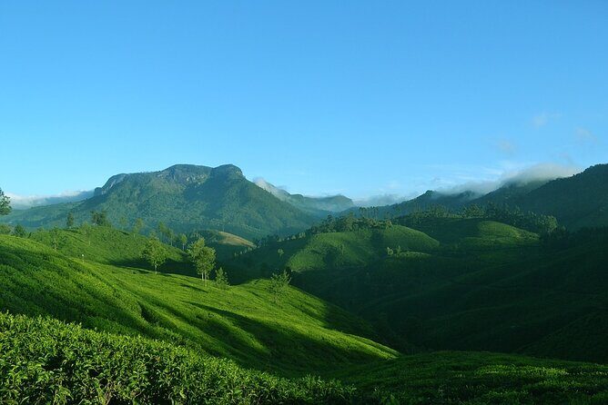 Full Day Trekking Tour In Munnar With Refreshments - Who Should Consider This Tour?