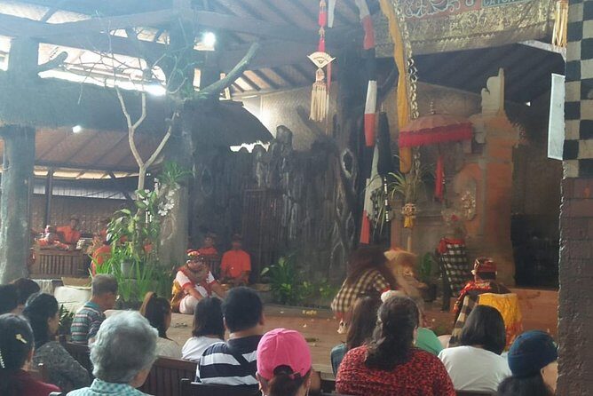 Full Day Ubud and Kintamani Tour - The driver: Your local guide and helper