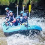 Full day Ubud Tour Bali Rafting, Monkey Forest and Rice Terrace - Monkey Forest Sanctuary: Close Encounters with Nature