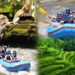 Full day Ubud tour Rafting and Rice Terrace with Monkey Forest - The Experience & Practical Details