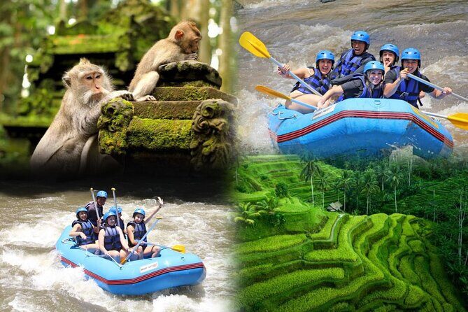 Full day Ubud tour Rafting and Rice Terrace with Monkey Forest - The Experience & Practical Details