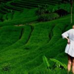 Full Day Wonders of Bali Private Tour with Pickup and Lunch - What Sets This Tour Apart?