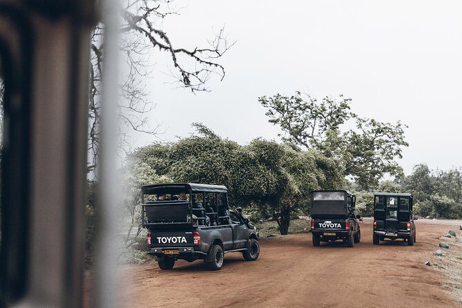 Full Day Yala Safari with Picnic Lunch from Hambantota Harbour - Returning & Beach Leisure