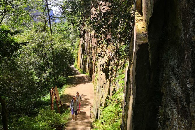 Full-Day Zhangjiajie National Park Private Hiking Tour Hotel in Yangjiajie - The Sum Up