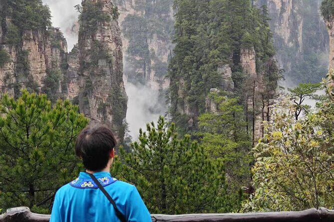 Full VIP Zhangjiajie National Forest Park Day Tour - Who Should Book This Tour?