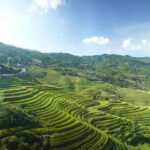 Fully-Guided Private Day Tour of Longji Terraces From Guilin - Additional Stops: Reed Flute Cave & Guilin’s Night Views
