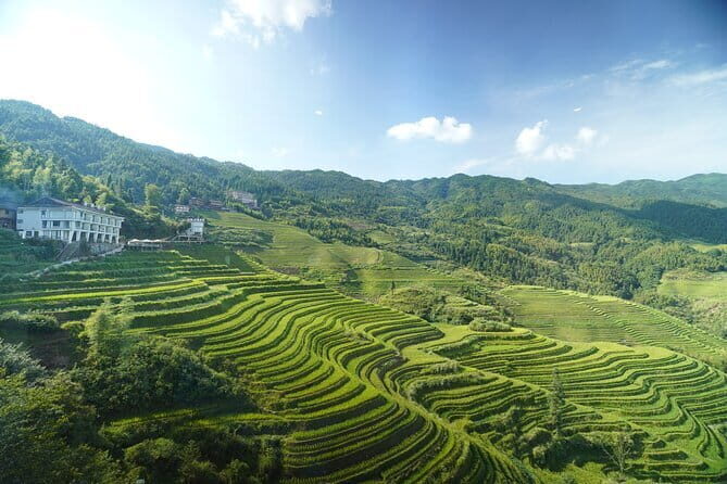Fully-Guided Private Day Tour of Longji Terraces From Guilin - Additional Stops: Reed Flute Cave & Guilin’s Night Views