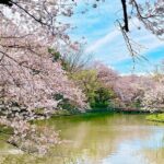 Fun Personalized Kamakura Walking Tour with a Local Guide - FAQs