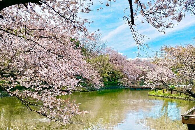 Fun Personalized Kamakura Walking Tour with a Local Guide - FAQs