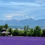Furano and Biei Special Complete package - Exploring the Itinerary: What to Expect at Each Stop